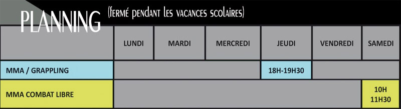 planning cours mma combat libre
