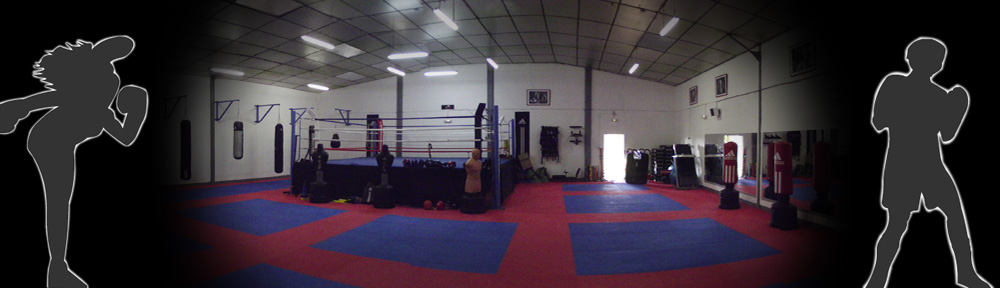 musculation pour la boxe